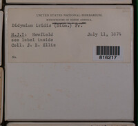 Image Associated With the Occurence